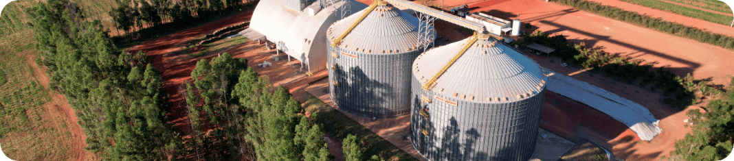 Storage facility with grain silos